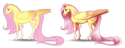 Size: 3931x1525 | Tagged: safe, artist:badass-doctor, derpibooru import, fluttershy, horse, pegasus, pony, g4, blaze (coat marking), coat markings, cutie mark, facial markings, female, folded wings, hoers, long mane, long tail, mare, realistic, realistic anatomy, realistic horse legs, simple background, socks (coat marking), solo, tail, transparent background, wings