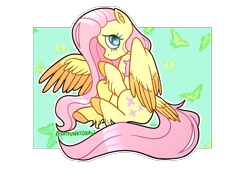 Size: 4092x2893 | Tagged: safe, artist:blueonegone, derpibooru import, fluttershy, butterfly, pegasus, pony, g4, colored hooves, colored wings, cute, female, high res, hooves, looking at you, mare, one wing out, outline, partial background, partially transparent background, profile, raised hoof, raised leg, shyabetes, sitting, solo, tail, tail feathers, two toned wings, unshorn fetlocks, white outline, wings