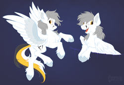 Size: 2054x1415 | Tagged: safe, artist:hioshiru, derpibooru import, oc, oc only, oc:kej, pegasus, pony, black and yellow, blue background, chest fluff, concave belly, cute, ear fluff, ears, fluffy, leg fluff, male, open mouth, pegasus oc, simple background, slender, solo, spread wings, stallion, striped tail, style emulation, tail, thin, unshorn fetlocks, wings