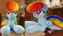 Size: 4032x2268 | Tagged: safe, artist:ponimalion, derpibooru import, rainbow dash, pegasus, pony, g4, bedroom eyes, female, indoors, irl, lidded eyes, life size, mare, photo, pillow, plushie, smiling, tail, wings