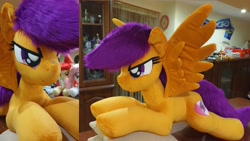 Size: 4032x2268 | Tagged: safe, artist:ponimalion, derpibooru import, scootaloo, pegasus, pony, g4, bedroom eyes, female, indoors, irl, lidded eyes, life size, mare, photo, pillow, plushie, smiling, tail, wings