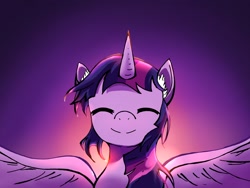 Size: 2160x1620 | Tagged: safe, artist:p+e-n, derpibooru import, twilight sparkle, twilight sparkle (alicorn), alicorn, pony, g4, eyes closed, smiling, solo, spread wings, wings