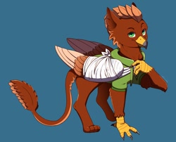 Size: 1500x1212 | Tagged: safe, artist:talim_stuff, derpibooru import, oc, oc only, oc:pearl diver, griffon, bandage, bandaged wing, blue background, clothes, commission, griffon oc, hoodie, male, signature, simple background, solo, wings