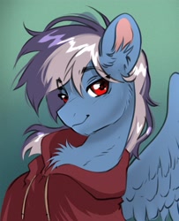 Size: 2700x3330 | Tagged: safe, artist:opalacorn, derpibooru import, oc, oc only, oc:silver lightning, pegasus, pony, bust, chest fluff, clothes, ear fluff, ears, eyebrows, eyebrows visible through hair, gradient background, hoodie, lidded eyes, looking at you, male, smiling, smiling at you, solo, stallion