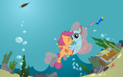 Size: 1280x805 | Tagged: artist needed, safe, anonymous artist, artist:jhayarr23, artist:parclytaxel, derpibooru import, edit, ocellus, scootaloo, changeling, fish, pony, seapony (g4), g4, ^^, bubble, coral, cute, cutealoo, cuteness overload, daaaaaaaaaaaw, diaocelles, disguise, disguised changeling, duo, eyes closed, female, filly, fin wings, fins, fish tail, foal, imminent kissing, lesbian, looking at each other, looking at someone, ocean, open mouth, open smile, rock, scootalove, seaponified, seapony ocellus, seapony scootaloo, seashell, seaweed, ship:scootacellus, shipping, smiling, smiling at each other, snout to snout, species swap, swimming, tail, this will end in kisses, this will end in love, treasure chest, underwater, vector, vector edit, water, wholesome, wings