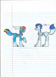 Size: 750x1031 | Tagged: safe, artist:darkangelofmusic44, derpibooru import, rainbow dash, soarin', wolf, g4, female, male, shipping, soarindash, species swap, straight, traditional art, winged wolf, wolfified