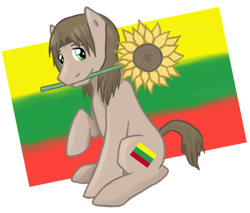 Size: 750x639 | Tagged: safe, artist:ninaiso, derpibooru import, pony, flower, hetalia, lithuania, ponified, solo, species swap