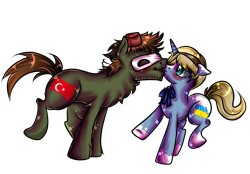 Size: 2592x1800 | Tagged: safe, artist:sirgalahadbw, derpibooru import, pony, duo, hetalia, ponified, species swap, turkey (country), ukraine