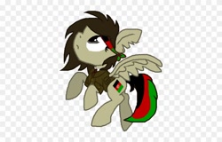 Size: 840x538 | Tagged: safe, anonymous artist, derpibooru import, pony, afghanistan, nation ponies, ponified, solo, species swap