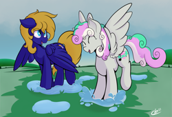 Size: 2231x1513 | Tagged: safe, artist:cloudybirb, derpibooru import, oc, oc only, oc:cloud quake, oc:silver melody, pegasus, pony, background, cloud, cloudy, duo, duo female, eyes closed, female, outdoors, pegasus oc, puddle, splash