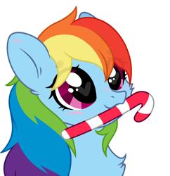 Size: 2634x2720 | Tagged: safe, artist:mint-light, artist:rioshi, artist:starshade, derpibooru import, rainbow dash, pegasus, pony, g4, base used, beanbrows, blushing, bust, candy, candy cane, cheek fluff, chest fluff, commission, cute, dashabetes, eye clipping through hair, eyebrows, eyebrows visible through hair, female, food, heart, heart eyes, looking up, mare, mouth hold, never doubt blaa6 involvement, portrait, simple background, solo, white background, wingding eyes, ych result