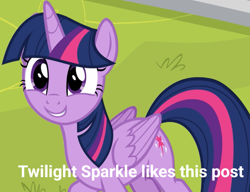 Size: 640x491 | Tagged: safe, derpibooru import, edit, edited screencap, screencap, twilight sparkle, twilight sparkle (alicorn), alicorn, pony, g4, horse play, season 8, adorkable, cropped, cute, dork, female, folded wings, horn, mare, meme, my little pony: friendship is magic, outdoors, smiling, solo, twiabetes, twilight sparkle likes this post, wings