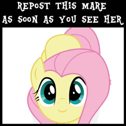 Size: 896x892 | Tagged: safe, derpibooru import, fluttershy, g4, cute, daaaaaaaaaaaw, female, looking at you, mare, repost, shyabetes