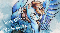 Size: 1026x576 | Tagged: safe, artist:madartistparadise, derpibooru import, oc, oc only, pegasus, pony, 2016, brown mane, pegasus oc, solo, text, traditional art, watercolor painting, wings