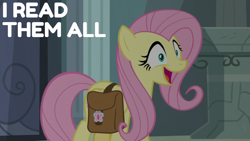 Size: 1920x1080 | Tagged: safe, derpibooru import, edit, edited screencap, editor:quoterific, screencap, fluttershy, pegasus, pony, daring doubt, g4, bag, female, mare, my little pony: friendship is magic, saddle bag, solo