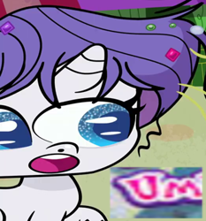 Size: 327x351 | Tagged: safe, derpibooru import, edit, edited screencap, screencap, rarity, pony, unicorn, g4, g4.5, my little pony: pony life, what goes updo, caption, cropped, expand dong, exploitable meme, female, great moments in animation, horn, image macro, mare, meme, messy mane, reaction image, smear frame, solo, text, um