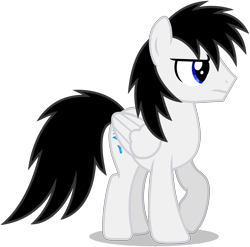 Size: 3811x3758 | Tagged: safe, artist:creedyboy124, derpibooru import, oc, oc only, oc:shane park, pegasus, pony, angry, base used, folded wings, male, pegasus oc, simple background, stallion, stallion oc, transparent background, vector, wings