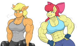 Size: 4344x2577 | Tagged: safe, artist:matchstickman, derpibooru import, apple bloom, applejack, anthro, apple brawn, applejack is not amused, applejacked, breasts, clothes, duo, female, fingerless gloves, frown, gloves, hand on hip, muscles, muscular female, simple background, smug, sports bra, sweat, tanktop, taunting, unamused, weights, white background