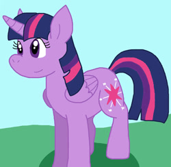 Size: 905x883 | Tagged: safe, artist:cmara, derpibooru import, twilight sparkle, twilight sparkle (alicorn), alicorn, pony, g4, female, solo