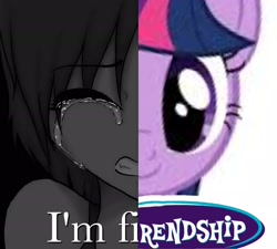 Size: 2400x2156 | Tagged: safe, derpibooru import, edit, twilight sparkle, human, unicorn, g4, female, horn, i'm fine, mare, meme, needs more jpeg, shitposting