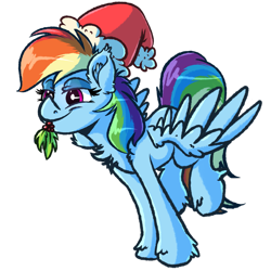 Size: 2449x2449 | Tagged: safe, artist:witchtaunter, derpibooru import, rainbow dash, pegasus, pony, g4, chest fluff, christmas, cute, dashabetes, ear fluff, ears, female, hat, high res, holiday, holly, holly mistaken for mistletoe, lidded eyes, mare, mouth hold, santa hat, simple background, smiling, solo, spread wings, transparent background, wings