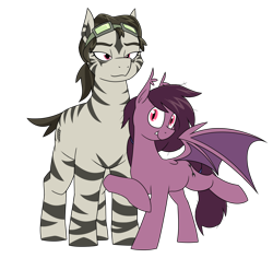 Size: 1908x1804 | Tagged: safe, artist:moonatik, derpibooru import, oc, oc only, oc:pocarona, oc:simika, bat pony, pony, zebra, bat pony oc, female, goggles, goggles on head, male, mare, muscles, muscular female, size difference, stallion, straight, wings, zebra oc