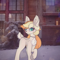 Size: 2664x2664 | Tagged: safe, alternate version, artist:sodapop sprays, derpibooru import, oc, oc only, oc:sodapop sprays, deer, deer pony, hybrid, original species, pony, blushing, deer oc, freckles, looking at you, non-pony oc, outdoors, solo