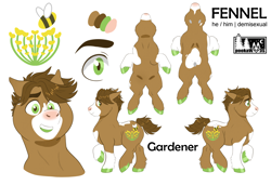 Size: 3000x2048 | Tagged: safe, artist:pookawoods-art, derpibooru import, oc, oc:fennel, earth pony, pony, male, reference sheet, solo, stallion