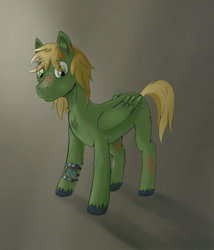 Size: 1539x1800 | Tagged: safe, artist:waspking, derpibooru import, oc, oc:murky, pegasus, pony, fallout equestria, fallout equestria: murky number seven, abstract background, eye clipping through hair, fanfic art, looking at you, pegasus oc, pipbuck, solo