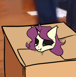 Size: 414x420 | Tagged: safe, alternate version, artist:pursoul, derpibooru import, oc, oc only, oc:erhai ripple, bat pony, hybrid, pony, unicorn, alternate character, box, head only, horn, indoors, meme, pony in a box