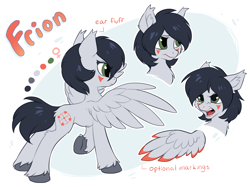 Size: 1402x1047 | Tagged: dead source, safe, artist:hioshiru, derpibooru import, oc, oc only, oc:frion, pegasus, pony, colored wings, colored wingtips, concave belly, ear fluff, ears, facial markings, female, mare, open mouth, pegasus oc, reference sheet, slender, solo, spread wings, tail, thin, underhoof, unshorn fetlocks, wings