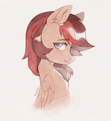 Size: 1726x1886 | Tagged: safe, artist:fensu-san, derpibooru import, oc, oc only, oc:keman, pegasus, pony, ear fluff, ears, eyebrows, eyebrows visible through hair, folded wings, male, pegasus oc, profile, side view, solo, stallion, wings