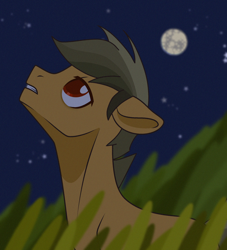 Size: 2002x2203 | Tagged: safe, artist:victoria_nik, derpibooru import, oc, oc only, earth pony, pony, bags under eyes, base used, grass, looking at something, looking up, male, moon, night, outdoors, red eyes, sky, solo, stallion, sternocleidomastoid, teeth