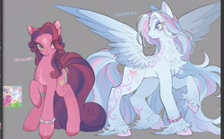 Size: 2037x1267 | Tagged: safe, artist:rottendevilman, derpibooru import, skywishes, star catcher, earth pony, pegasus, pony, g3, bracelet, chest fluff, coat markings, duo, facial markings, female, jewelry, mare, spread wings, star (coat marking), unshorn fetlocks, wings