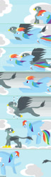 Size: 520x1799 | Tagged: safe, artist:funny-arts, derpibooru import, part of a series, part of a set, gabby, rainbow dash, griffon, pegasus, pony, series:gabby griffon in daily activity, g4, beak, cloud, comic, duo, duo female, eyes closed, female, flying, folded wings, mare, open beak, open mouth, open smile, ponytail, race, sky, smiling, wings