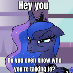 Size: 720x720 | Tagged: safe, artist:yourboimario, derpibooru import, princess luna, alicorn, pony, g4, female, mare, meme, solo, talking to viewer