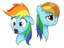 Size: 1600x1200 | Tagged: safe, artist:solixy406, derpibooru import, rainbow dash, pegasus, pony, g4, bust, desaturated, ears, eyebrows, eyebrows visible through hair, facial expressions, female, floppy ears, head only, lidded eyes, limp mane, mare, open mouth, portrait, rainbow dash is best facemaker, sad, simple background, surprised, white background, wide eyes