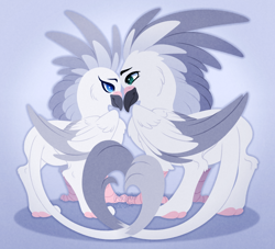 Size: 1100x1000 | Tagged: safe, artist:purplegrim40, derpibooru import, oc, oc only, bird, dove, griffon, pigeon, colored wings, dove griffon, duo, pigeon griffon, two toned wings, wings