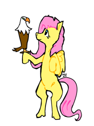 Size: 1128x1500 | Tagged: safe, artist:mevka, derpibooru import, fluttershy, bird, eagle, pegasus, pony, bipedal, female, looking at each other, looking at someone, mare, simple background, smiling, solo, white background