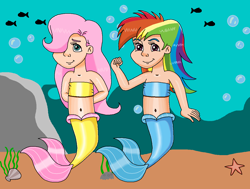 Size: 1242x937 | Tagged: safe, artist:ocean lover, derpibooru import, fluttershy, rainbow dash, fish, human, mermaid, 20% cooler, arm behind back, arrogant, bandeau, bare midriff, bare shoulders, bashful, belly, belly button, best friends, blue eyes, boulder, bubble, child, clam, cocky, confident, cute, dashabetes, duo, duo female, female, fins, fish tail, flexing, hair over one eye, humanized, innocent, kelp, kids, kindness, light skin, long hair, looking at you, loyalty, magenta eyes, mermaid tail, mermaidized, mershy, midriff, ms paint, multicolored hair, ocean, pink hair, rainbow hair, rock, seashell, seaweed, shy, shyabetes, smiling, smiling at you, smirk, species swap, starfish, swimming, tail, tail fin, underwater, water, young fluttershy, younger