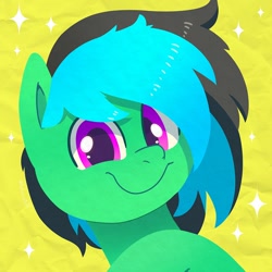 Size: 750x750 | Tagged: safe, artist:talim_stuff, derpibooru import, oc, oc only, oc:aprovie, earth pony, pony, abstract background, bust, commission, lineless, looking at you, male, smiling, smiling at you, solo, stallion