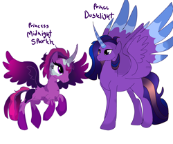 Size: 3878x3243 | Tagged: safe, anonymous artist, derpibooru import, flash sentry, midnight sparkle, sci-twi, twilight sparkle, oc, oc:prince dusklight sparkle, oc:princess midnight sparkle, alicorn, g4, alicorn oc, black fade, blue eyes, blue horn, blue mane, blue wingtips, brother and sister, dark purple wings, female, flying, horn, male, mare, my little pony: the protectors of harmony, next generation, offspring, pale horn, parent:flash sentry, parent:twilight sparkle, parents:flashlight, pink fade, pink mane, prince, princess, purple coat, purple eyes, purple mane, siblings, splotches, spread wings, stallion, wings