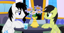 Size: 2082x1086 | Tagged: safe, artist:rogan140, derpibooru import, oc, oc:sadie park, oc:shane park, pegasus, g4, flower, vase