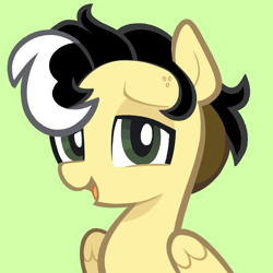 Size: 5000x5000 | Tagged: safe, artist:pilesofmiles, derpibooru import, oc, oc only, oc:alice azalea, pegasus, pony, g4, eyebrows, green background, green eyes, icon, lidded eyes, open mouth, simple background, skunk stripe