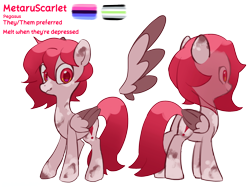 Size: 4096x3072 | Tagged: safe, artist:metaruscarlet, derpibooru import, oc, oc only, oc:metaru scarlet, pegasus, pony, agender pride flag, english, folded wings, omnisexual pride flag, pegasus oc, pride, pride flag, reference sheet, simple background, spotted, text, transparent background, wings