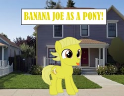 Size: 1594x1234 | Tagged: safe, artist:memeartboi, derpibooru import, oc, earth pony, pony, g4, banana, banana boy, banana joe, colt, colt oc, content, cute, earth pony oc, foal, food, male, male oc, outdoors, ponified, solo, species swap, standing, text, the amazing world of gumball, tongue, tongue out