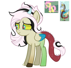 Size: 640x606 | Tagged: safe, artist:its.hxnnxh_, derpibooru import, discord, fluttershy, oc, draconequus, hybrid, pegasus, colored wings, female, horn, interspecies offspring, male, mare, offspring, parent:discord, parent:fluttershy, parents:discoshy, screencap reference, simple background, unnamed oc, white background, wings, youtube link