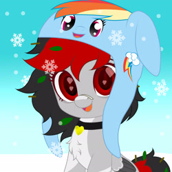 Size: 2048x2048 | Tagged: safe, artist:naoto yazarän, derpibooru import, rainbow dash, oc, pegasus, bandaid, bandaid on nose, cap, chest fluff, collar, cutie mark, hat, heart, heart eyes, leaves, leaves in hair, snow, snowfall, wingding eyes, wings