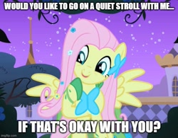 Size: 641x499 | Tagged: safe, derpibooru import, edit, edited screencap, screencap, fluttershy, g4, the best night ever, bronybait, caption, clothes, dress, gala dress, image macro, imgflip, talking to viewer, text