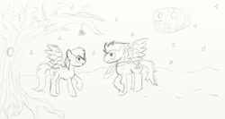 Size: 750x399 | Tagged: safe, artist:aynstainxpenelope, derpibooru import, rainbow dash, soarin', pegasus, pony, g4, female, male, mare, mistletoe, shipping, sketch, soarindash, stallion, straight, traditional art